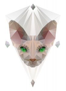Sphynxcat_Geometric