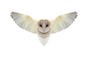 Owl_Geometric